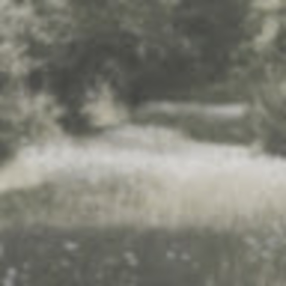 Meet your Posher, Mela